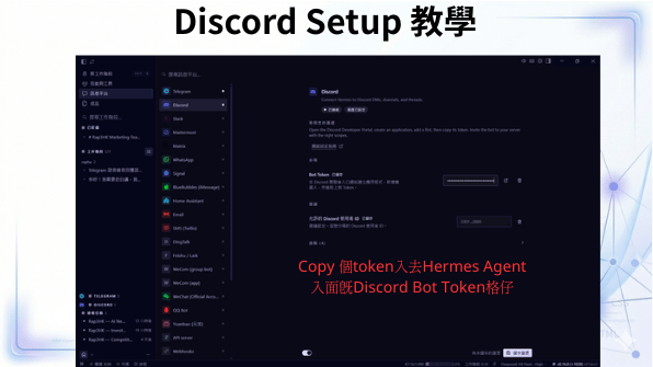 將 Token 貼入 Hermes Agent